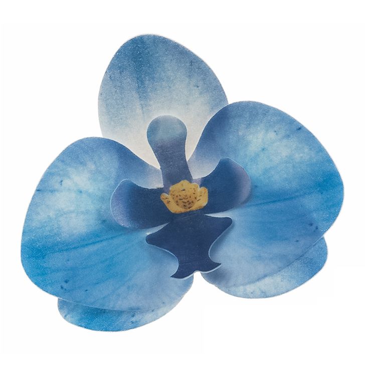 Jedlé oblátkové kvety - Orchidea modrá (10ks)