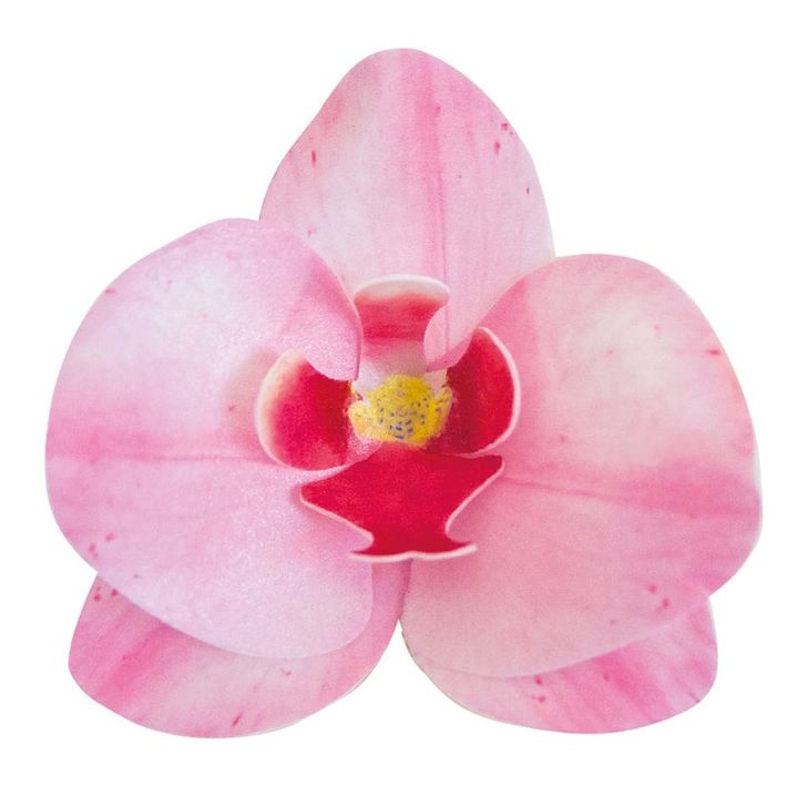 Jedlé oblátkové kvety - Orchidea ružová (10ks)