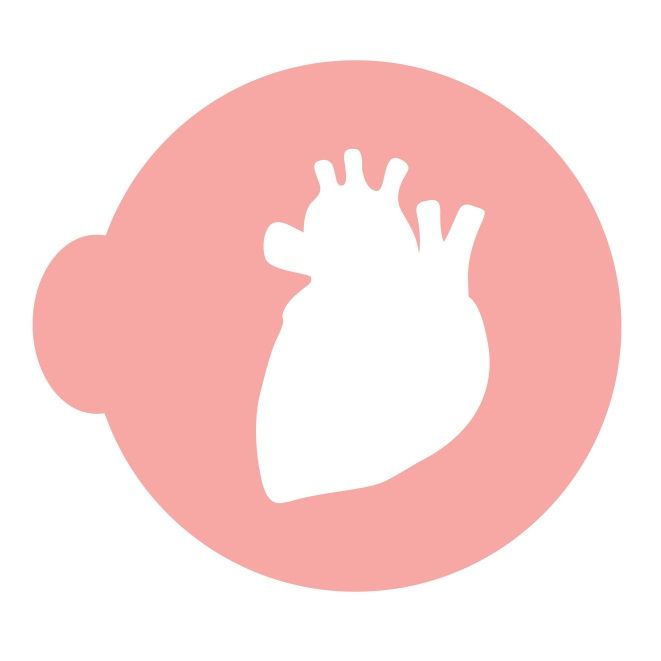 Stencil na makrónky - Ľudské srdce