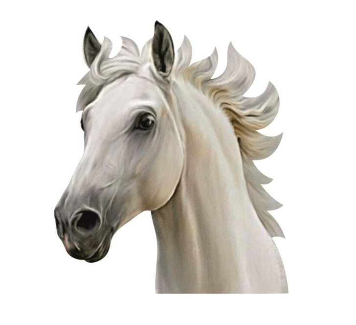 Zápich - Kôň (bez paličky)